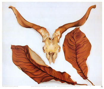 ジョージア・オキーフ 「子羊の頭蓋骨とブラウンの葉 」