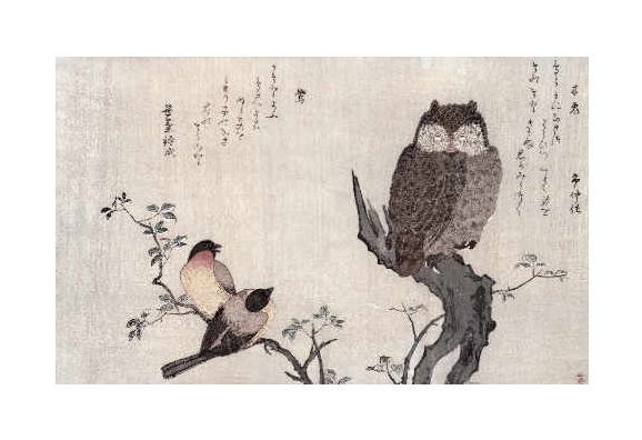 喜多川歌麿　An Owl and two Eastern Bullfinches, from an album 'Birds compared in Humorous Songs, Contest of Poetry of the 100 and 1000 birds